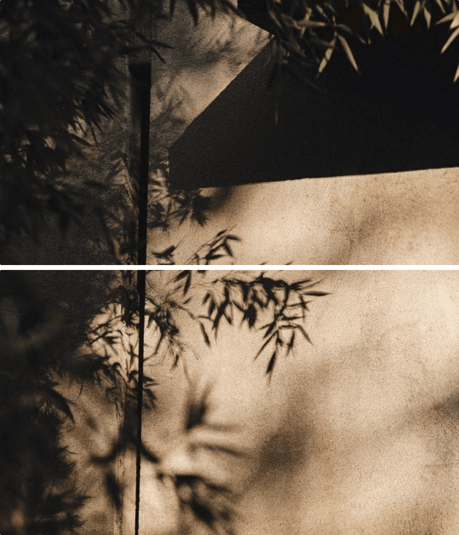 Оптовые закупки Planta